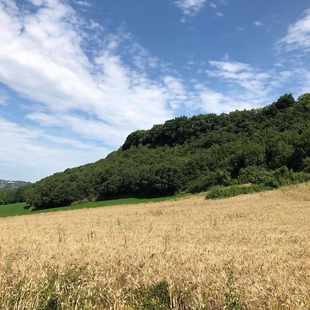 Agriturismo L'Esinante Cupramontana Eksteriør bilde