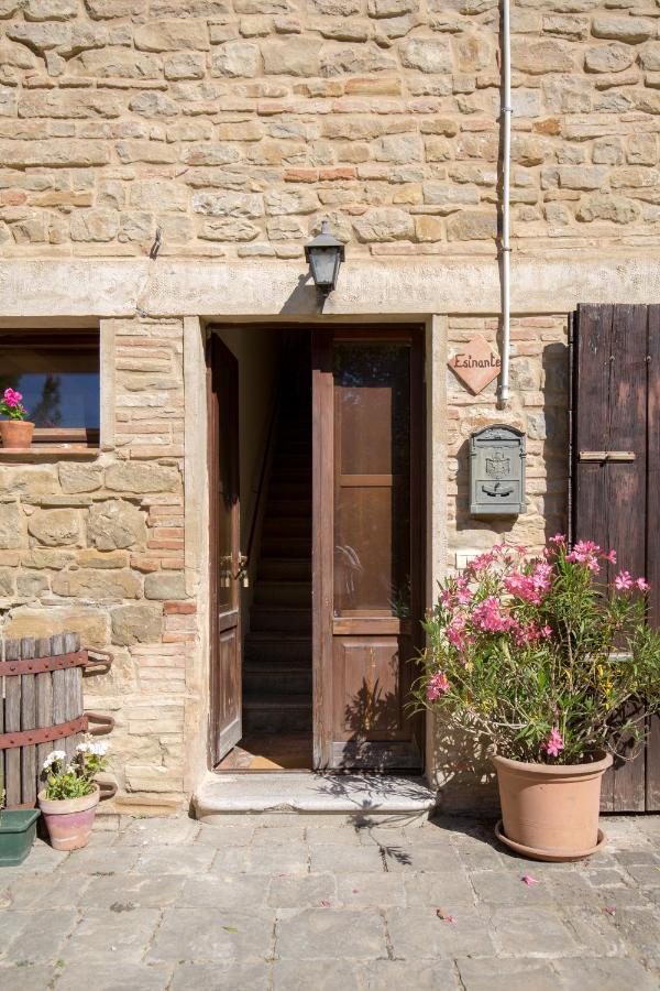 Agriturismo L'Esinante Cupramontana Eksteriør bilde