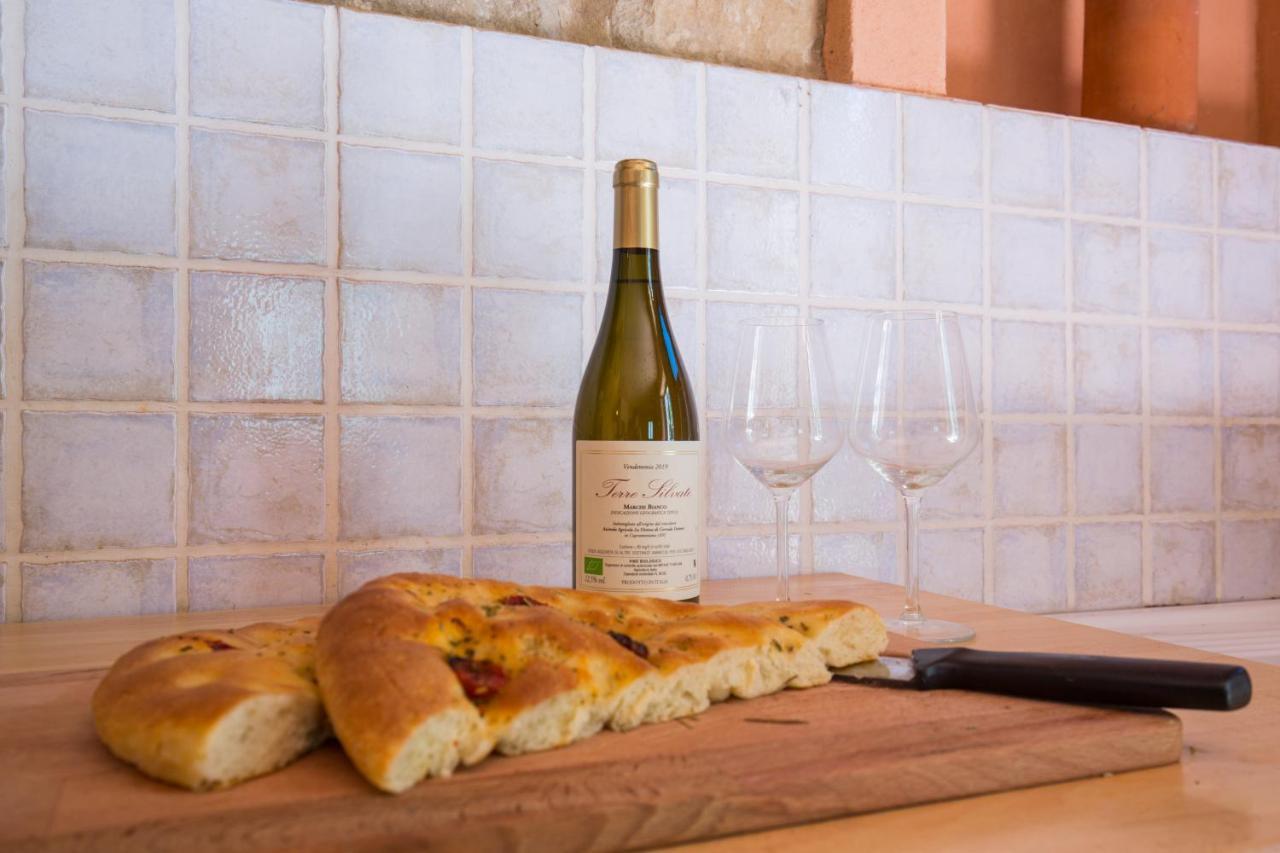 Agriturismo L'Esinante Cupramontana Eksteriør bilde